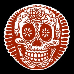 Mexican Skull 1